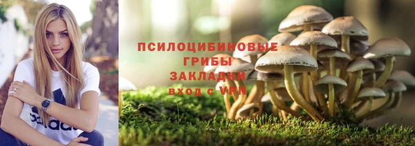 молекула духа Алексин