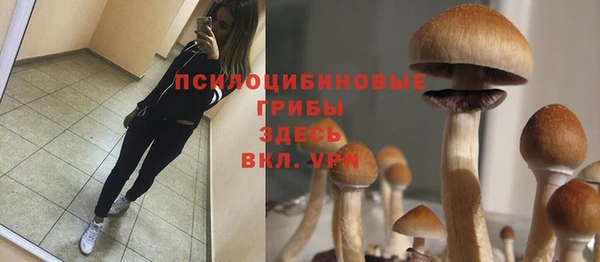 твердый Алексеевка