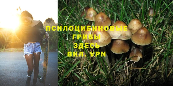 твердый Алексеевка