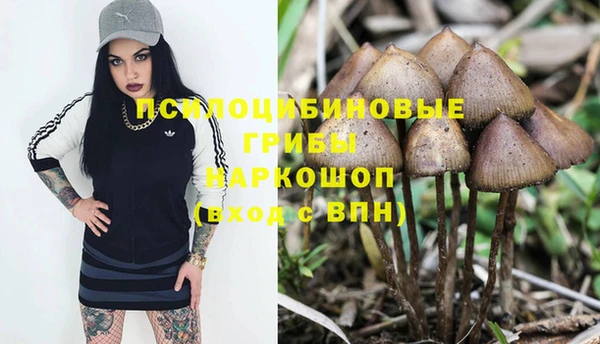 МДПВ Медвежьегорск