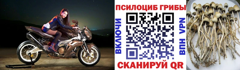 Галлюциногенные грибы мухоморы Цивильск