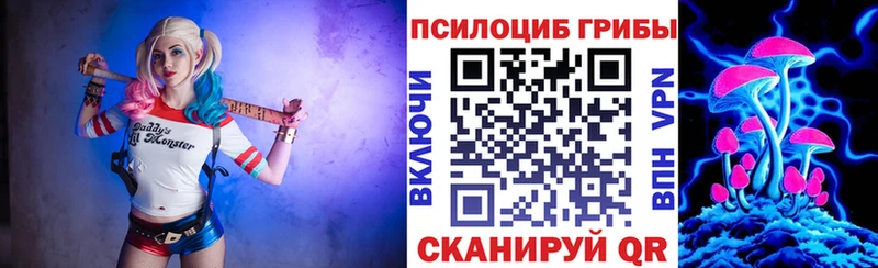 Галлюциногенные грибы мицелий  Цивильск 